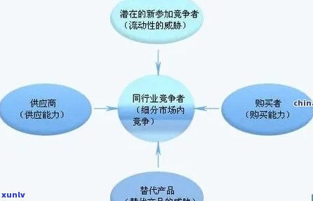 普洱茶行业市场PEST分析：一款茶叶的全方位解析