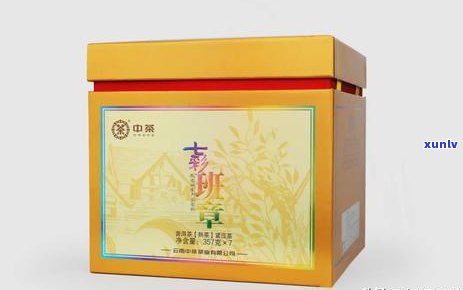 普洱茶园精细化管理与种植创新技术