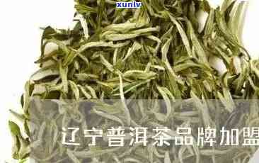 辽普洱茶加盟前景