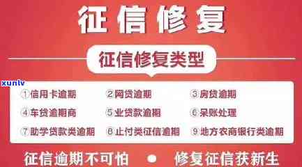 逾期多次后，如何恢复个人？请分享有效策略！