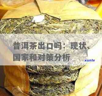 普洱茶出口贸易现状及其对策分析