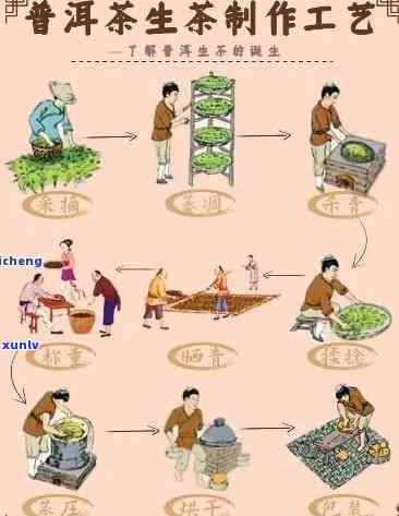 珠海普洱茶 *** 加工全攻略：如何选择原料、生产流程、营销策略及售后服务