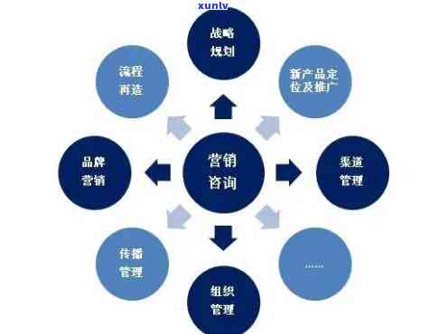 络营销策划全攻略：从市场调研到实细节一应俱全