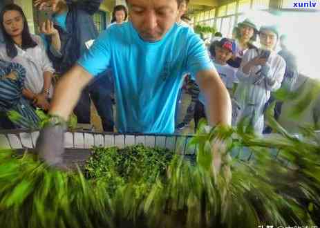 古韵流香茶生活馆：品茗、体验、了解中国茶文化的新场所