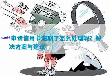 正在申请信用卡逾期了怎么处理：如何取消或解决逾期问题？