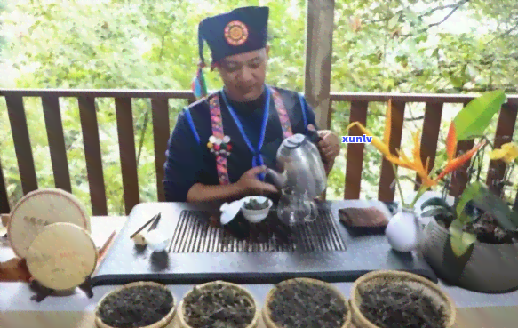 云南普洱茶：探寻大观选修课中的茶文化魅力