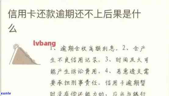 信用卡还款提醒功能缺失原因解析与解决策略