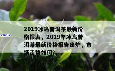 2019年冰岛普洱茶价格走势分析及最新价，助您全面了解普洱茶价格动态