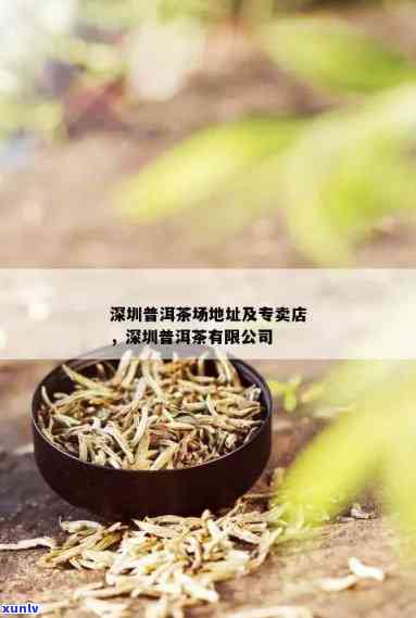 深圳普洱茶：深圳市优质普洱茶生产商与茶业服务提供商