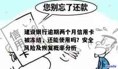 建县建设银行信用卡逾期风险警示与解决信息