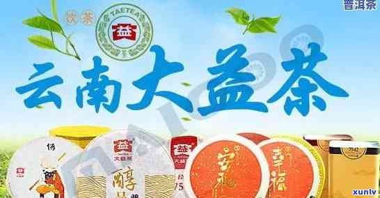 大益普洱茶可以加盟