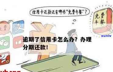 逾期信用卡还款攻略：如何高效办理？