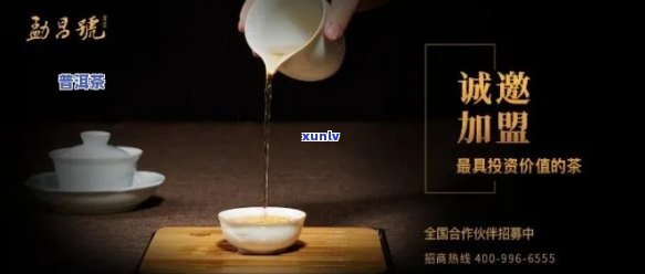 云南普洱茶招商加盟：一路商机，低投入，高品质茶叶的掘金之路