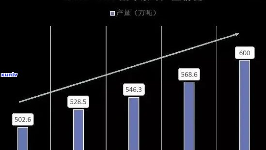 普洱茶市场分析：全面了解消费者需求、竞争对手和未来发展趋势