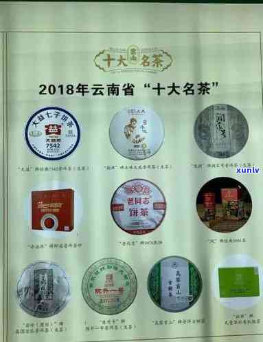 大益普洱茶产品：从种类到品质，探索全面了解与选择指南