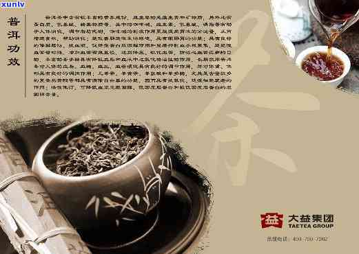 大益普洱茶版面分析