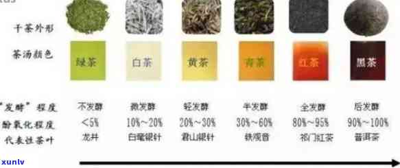 滇红茶与铁观音：两者对比分析，帮助您选择适合自己的茶叶