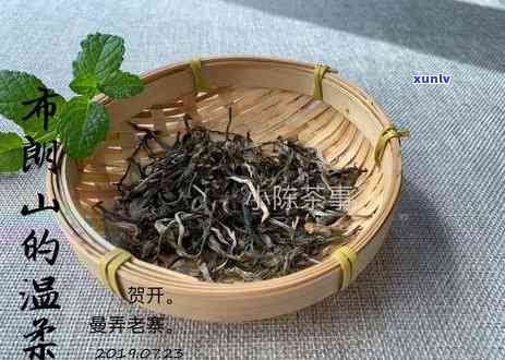 普洱茶：一种独特的红茶还是绿茶？