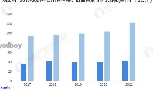 普洱茶中国交易中心：茶叶行情与批发价格分析