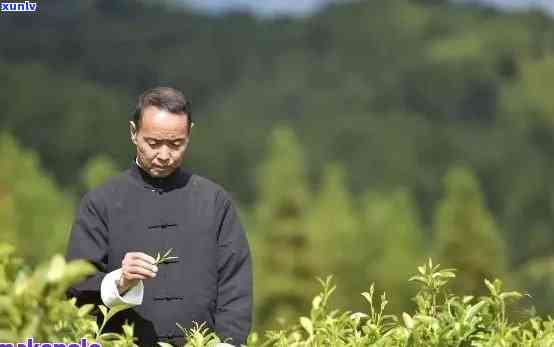 云南普洱茶十大名家之一：传奇大师的艺术之旅