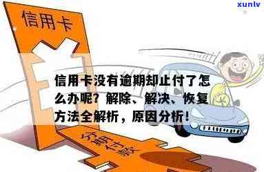 信用卡被止付后如何解除？逾期还款、账户异常等原因解决办法一览