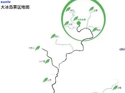 单株冰岛古树茶价格及特点，2020年冰岛生茶克价，1公斤多少钱？