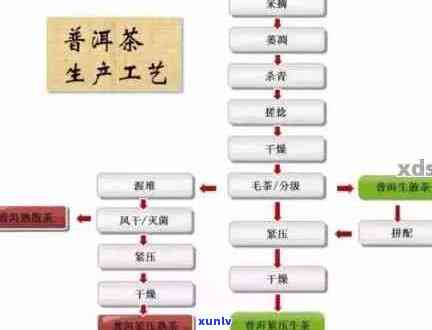 生普洱茶 *** 过程全解：工艺流程、步骤详解与普洱生普的区别