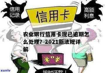 农业信用卡逾期处理规定：2021年新法规与细则详解