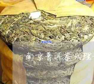 南京高端普洱茶招商