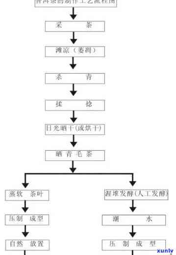 从种植到 *** 的全过程：普洱茶的实验报告探究