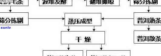 从种植到 *** 的全过程：普洱茶的实验报告探究