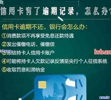 信用卡逾期提交资料是什么意思：解答疑惑并提供相关指导