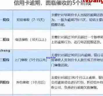 信用卡逾期提交资料是什么意思：解答疑惑并提供相关指导