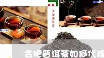 合肥地区优质普洱茶加盟一览：如何选择合适的加盟公司？