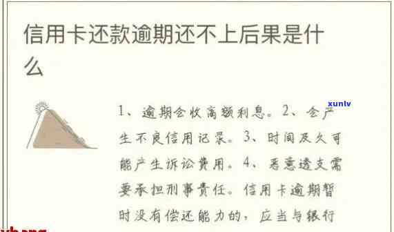 2020年信用卡逾期还款全攻略：了解最新标准、应对策略及逾期后果