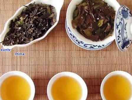 普洱茶的种类及其特点：绿茶、黑茶、白茶和红茶中的哪一种？