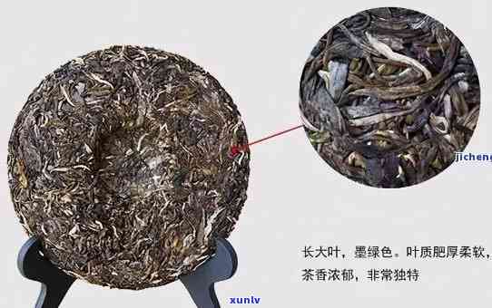 普洱茶属于哪一种类