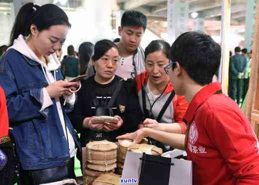 云南普洱茶品鉴之旅：如何打造一场别开生面的传推广活动