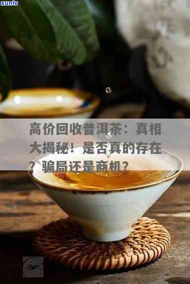 普洱茶 *** 利润高吗？现在有骗局吗？坑也存在吗？请分享您的经验。