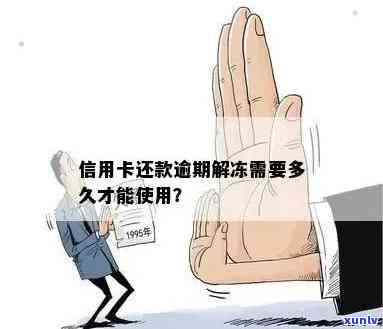 逾期未还信用卡欠款被冻结，如何及时解冻并恢复信用？