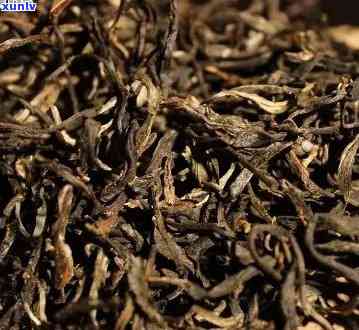 古树普洱茶十年价格大全：最新报价与熟茶分析