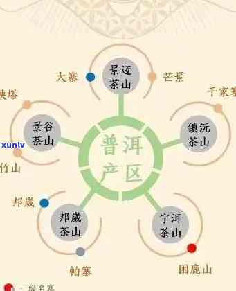 深入解析普洱茶的醇厚口感与独特风味