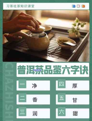 全面解析：探究顶级普洱茶六字口诀的奥秘与品鉴 *** 