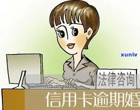 婚后信用卡逾期算谁