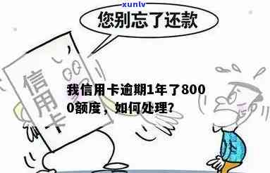 逾期一年8000额度的信用卡处理 *** ，我信用卡逾期1年8000额度的情况分析