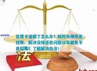 信用卡逾期了怎么办：停息挂账流程与协商只还本金