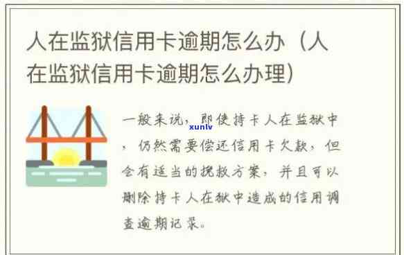 信用卡逾期能否做监制人员：处理方式与影响分析