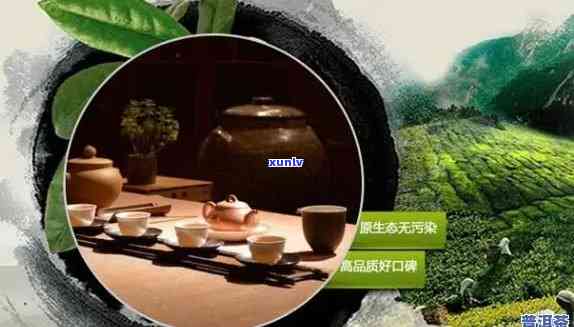 云南普洱茶商机无限：详细加盟招商方案与费用详解