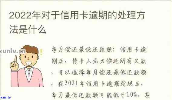 信用卡逾期4个月还款20元：详细解决方案与可能影响