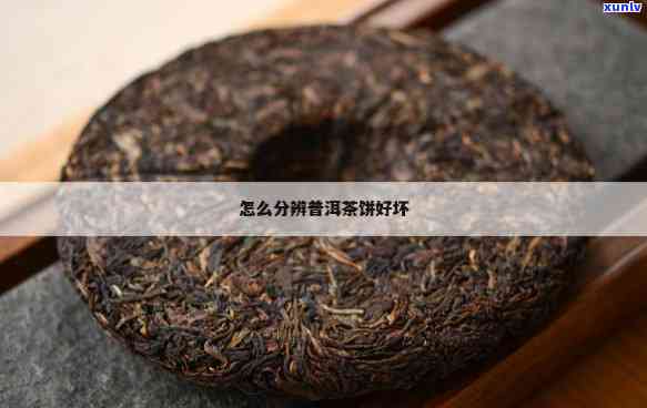 从茶饼来分析普洱茶